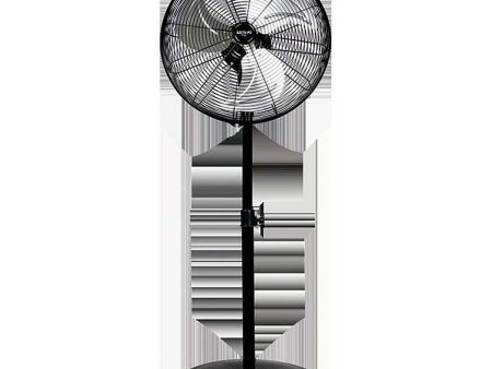 Ventilateur sur Pied Bastilipo Tarifa 90W Noir 90 W (1 Unités) Hot on Sale